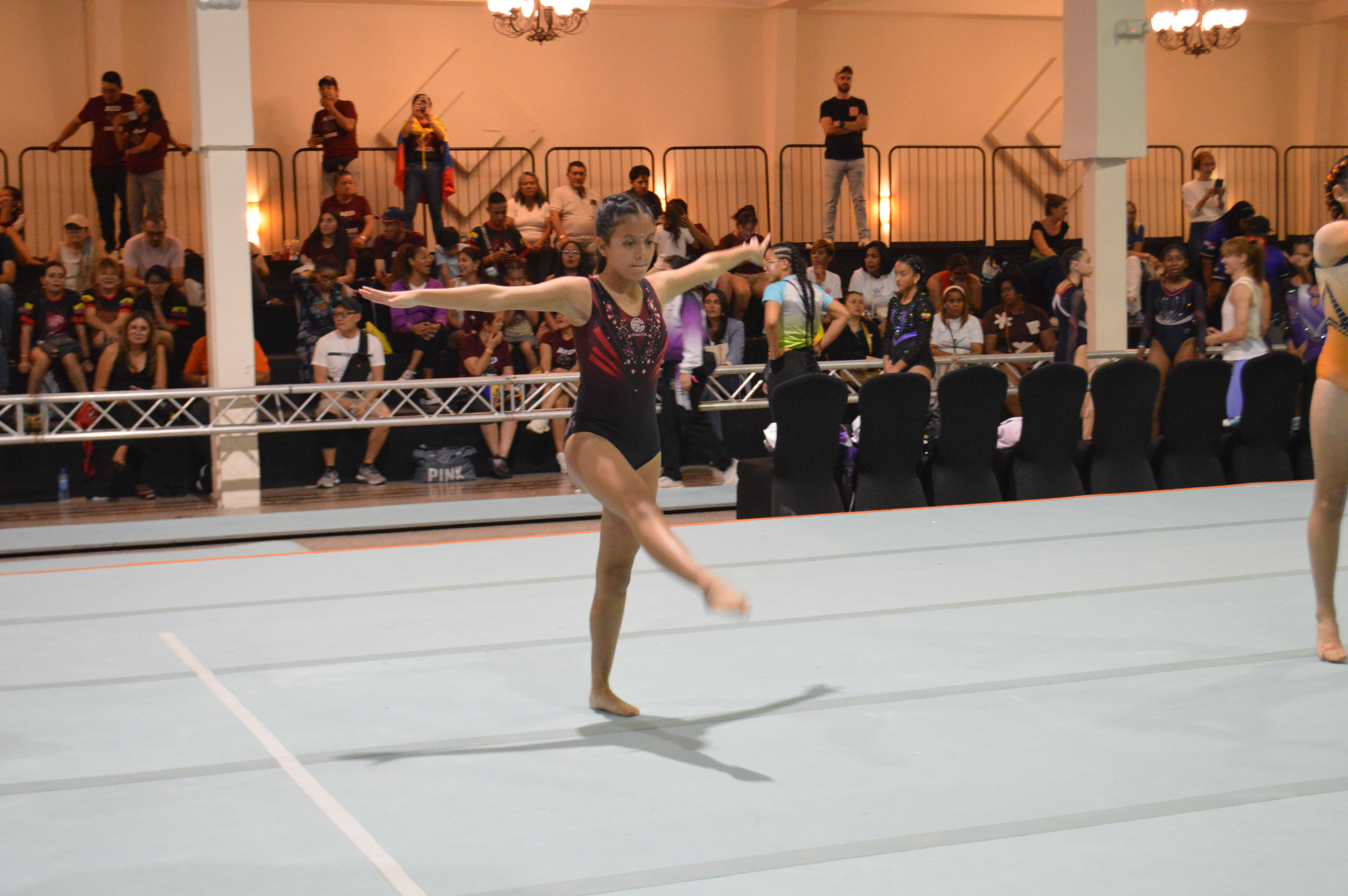 Video Acrobacia